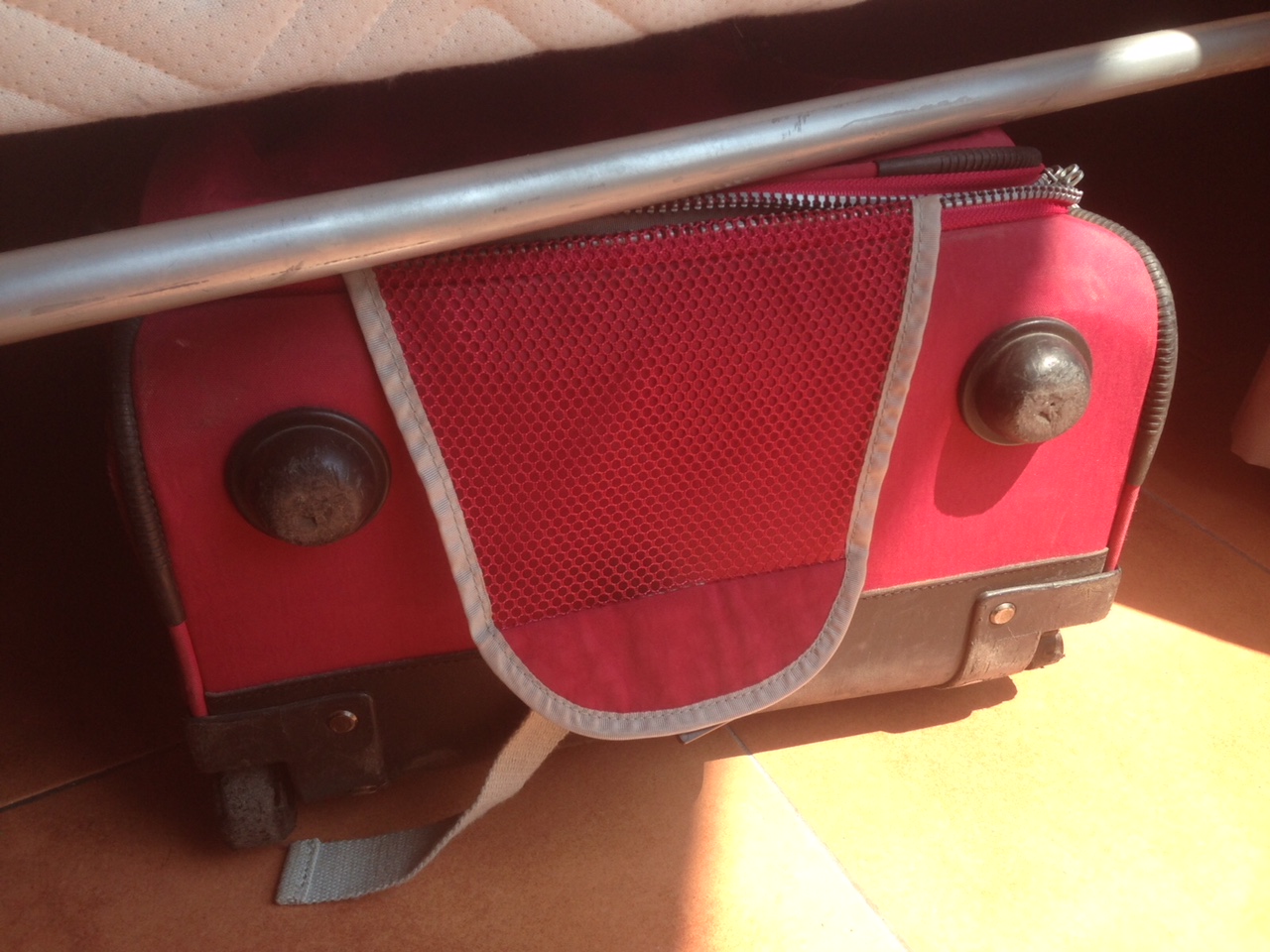 La valise à Avignon
