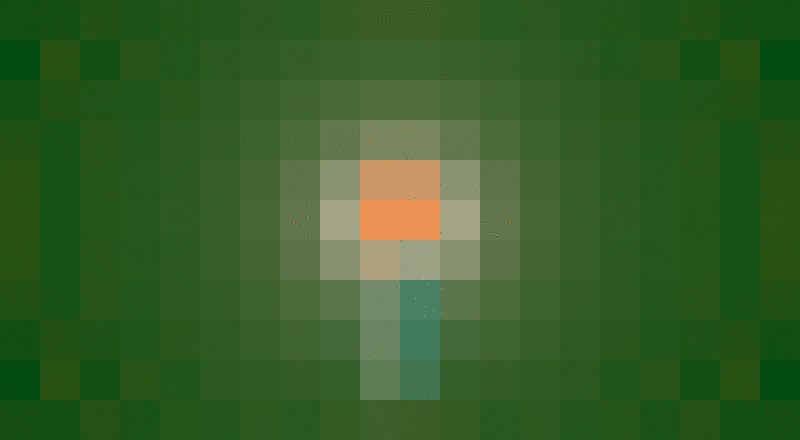 2026 dans la lumière